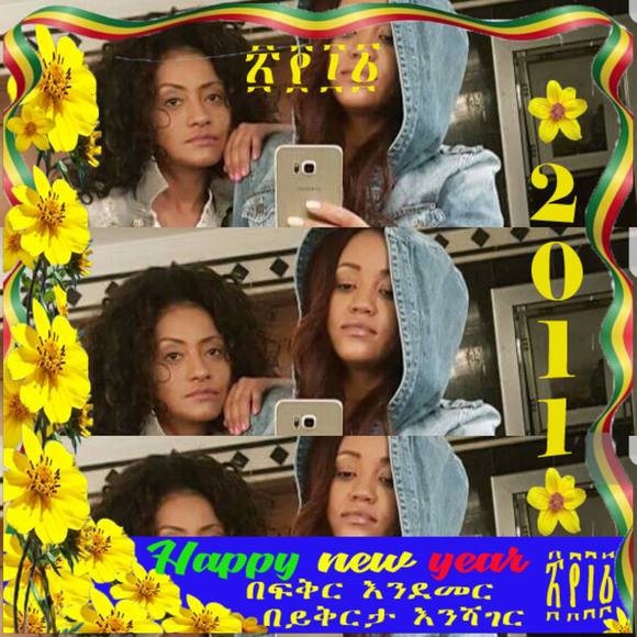 Meet your Posher, Kuki - Picture 1 of 1